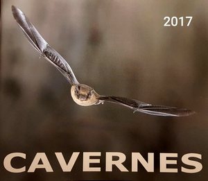 Couverture Cavernes 2017